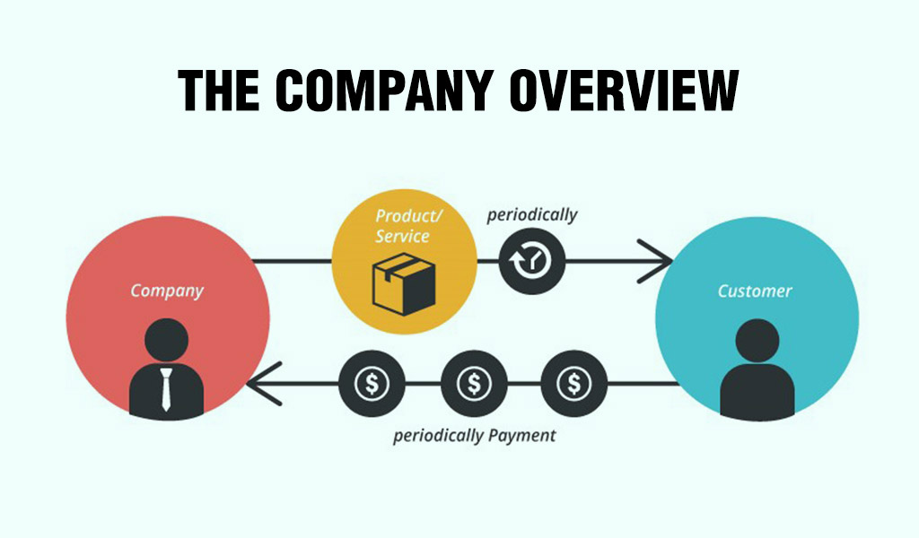 DRHP and RHP in IPO The-company-overview