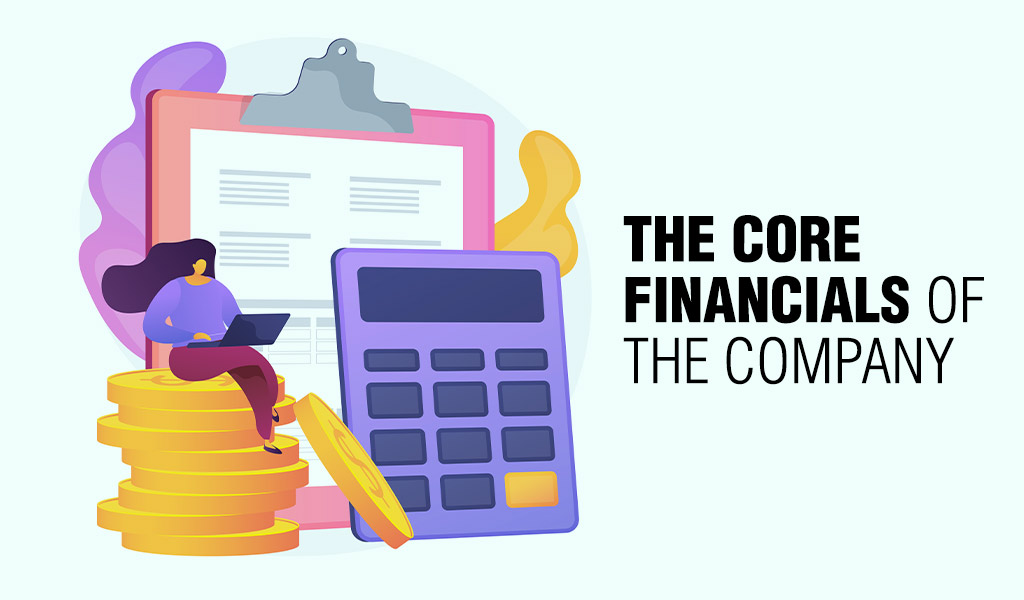 DRHP and RHP in IPO The-core-financials-of-the-company